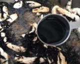お酢で食欲増進♪鶏むね肉＆ひじきマリネ風作り方11写真