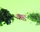 チャーシューと梅のさっぱりスープピビン麺作り方1写真