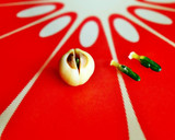 ハスの実と干し貝柱で薬膳風炊き込みご飯作り方6写真
