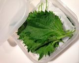 【パリッと長持ち】　大葉（しそ）の保存法作り方4写真