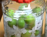 梅酒の作り方作り方7写真