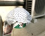 冬のお仕事 白菜漬けの仕込み作り方7写真