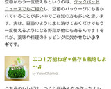 エコ！万能ねぎ＊保存＆栽培しよ～♬作り方14写真