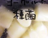 自家製ヨーグルトのための種菌ブロック作り方3写真