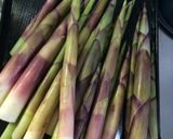 山菜ネマガリダケ(すずこ) 炊き合わせ作り方1写真