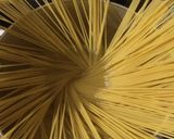 牡蠣のトマトソースパスタ作り方10写真