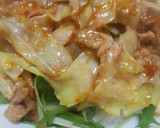 豚肉とキャベツのオイスターソース炒め丼作り方14写真