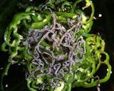 ピーマンの塩昆布和え作り方5写真
