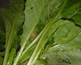 ウマい！！　小松菜と鶏むね肉の和えもの作り方1写真