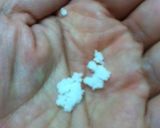 塩分控えめ　塩トマト☆作り方3写真