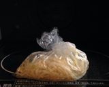 即席☆中華風春雨サラダ作り方1写真