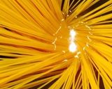 子供も喜ぶ簡単なバジルチーズパスタ❤︎作り方4写真