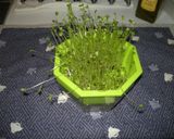 干しえびの粉末とオカラマヨネーズ和え作り方4写真