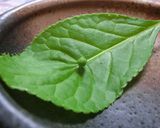 ハナイカダ（よめのなみだ）の天ぷら作り方3写真