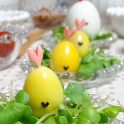 元気な隣のひよこちゃん達… by さとこぱんたーに 【クックパッド