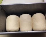 白神こだま酵母でシンプル食パン作り方10写真