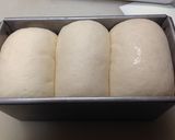 白神こだま酵母でシンプル食パン作り方11写真