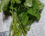 ウワバミソウとミツバのかんたん味噌漬け作り方3写真