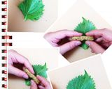 常備菜 おつまみ お弁当に『紫蘇巻き』作り方6写真