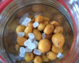 ビワ酒作り方4写真