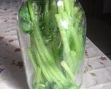 我が家のわさび漬け作り方3写真