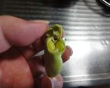 簡単！ゆでそら豆の皮の剥き方作り方3写真