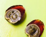 本格中華☆ピータン豆腐作り方4写真