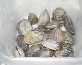 15分シリーズ★あさりの和風パスタ作り方1写真