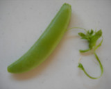 ✿豆の筋取りの仕方✿作り方2写真