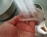材料はイカだけ☆イカのわた炒め作り方1写真