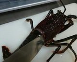 伊勢海老 さばき(刺身)作り方2写真