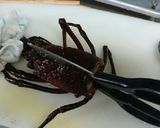 伊勢海老 さばき(刺身)作り方8写真