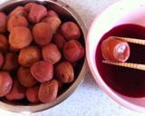 自家製梅干し作り方19写真