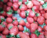 かきイチゴおり作り方1写真