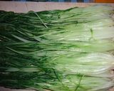 タップリ水菜の餃子作り方3写真