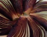 レンジで蒸しナス&美味しい味噌だれ作り方3写真