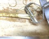 たっぷり根菜の梅きんぴら´ω｀●作り方3写真