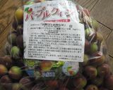パープルクィーンで梅酒(覚書)作り方1写真