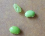 キャラ弁✳︎枝豆カエルさん♡作り方2写真