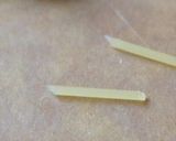 キャラ弁✳︎枝豆カエルさん♡作り方4写真