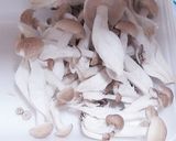 母の味♡あご竹輪ときのこdeお吸い物作り方3写真