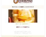 万能塩レモン♡　簡単手間なし！！作り方14写真