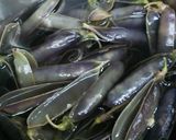 ツタンカーメン豆御飯*レシピ作り方3写真
