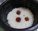 夏にオススメ梅ご飯作り方2写真