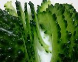 冷めても美味しい！ゴーヤの塩炒め作り方4写真