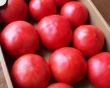 松代の桃太郎トマトでカプレーゼ作り方1写真