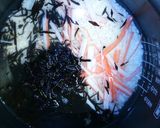 ソラマメとひじき&カニかまご飯作り方2写真