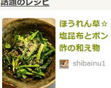 ほうれん草☆塩昆布とポン酢の和え物作り方5写真