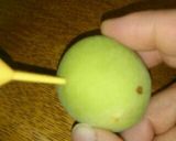 ザラメで梅酒♪作り方4写真