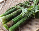 ウドの酢みそ和え作り方5写真